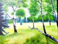 Aspens in a Meadow - Acrylics