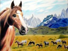 Horses and Mountains - Colored Pencil