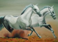 Horses Running - oils