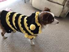 Bumblebee Dog Sweater